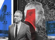 Perang Salib Organik RFK Jr telah memicu penataan kembali politik yang aneh