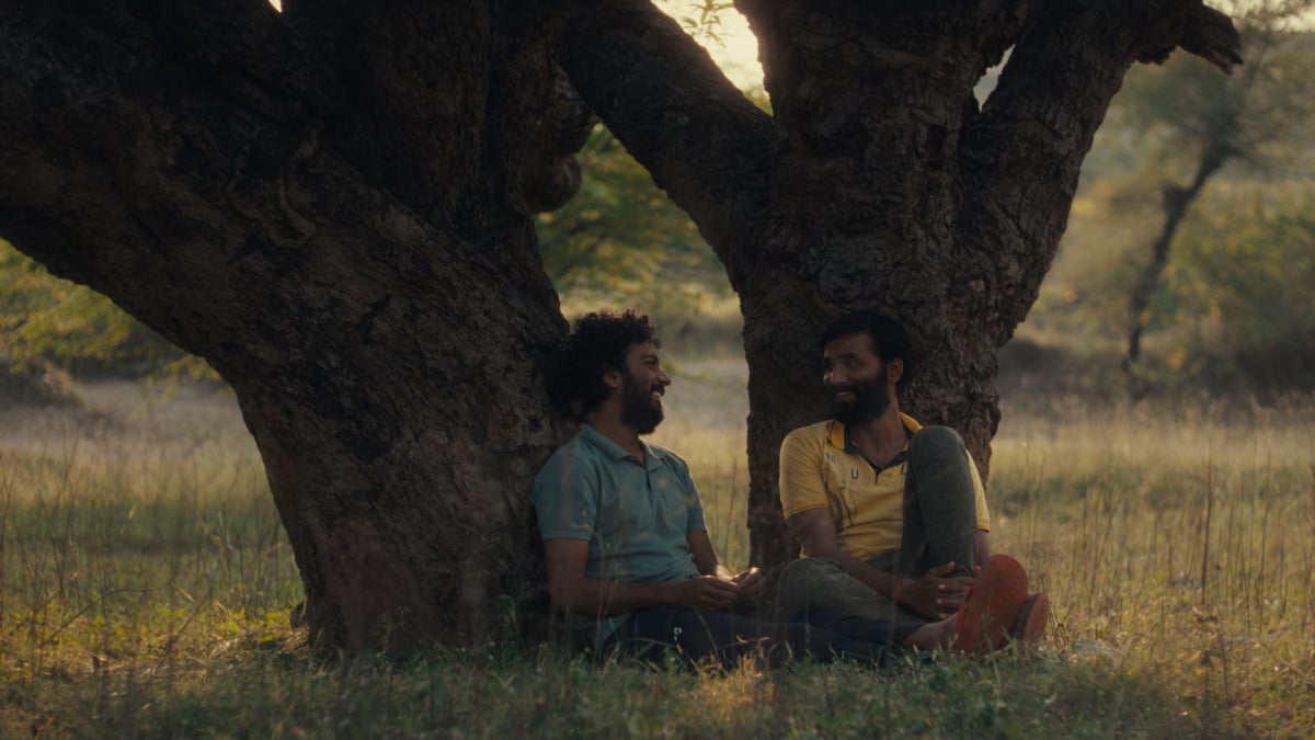tinjauan-pear-cactus:-fitur-debut-yang-dijamin-yang-mengurangi-queer-tropes