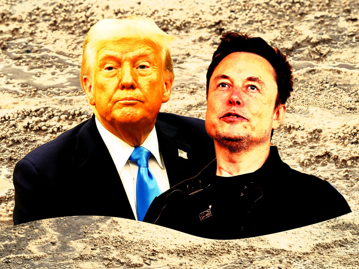 trump-dan-musk-mengatakan-gerakan-berani-ini-sudah-dekat-sekarang-mereka-terjebak-di-lumpur.