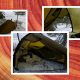 hilleberg-akto-review:-tenda-solo-terbaik