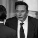 upaya-perekrutan-yang-membantu-membangun-pasukan-doge-elon-musk