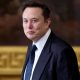 elon-musk-sekarang-harry-bolz-lagi-memecoin-peringatan-sekarang-tersedia.