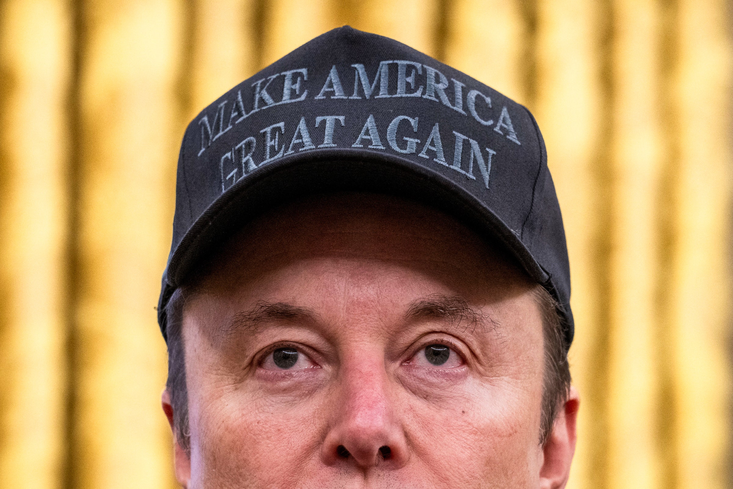 situs-web-doge-hanyalah-satu-iklan-x-besar