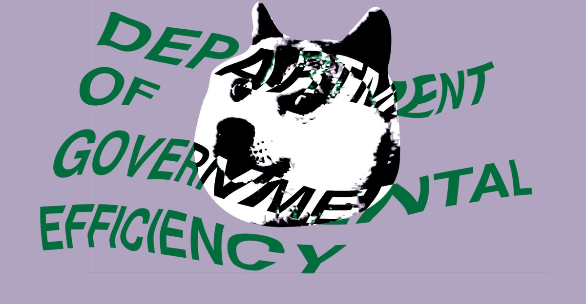 doge-mencoba-mengakses-data-irs-tentang-jutaan-pembayar-pajak