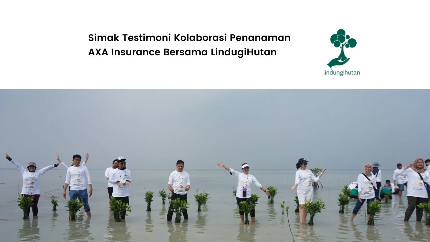 axa-insurance-berbagi-pengalaman-kolaborasi-hijau-dengan-lindungihutan