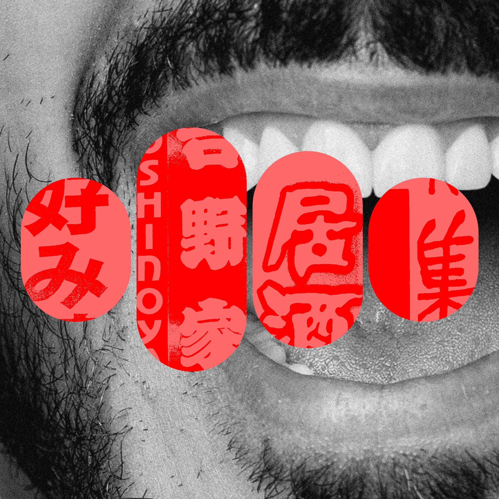 sebelum-pergi-ke-tokyo,-saya-mencoba-belajar-bahasa-jepang-dengan-chatgpt