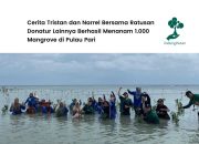 Kampanye LindungiHutan di Kepulauan Seribu Rangkul Ratusan Donatur