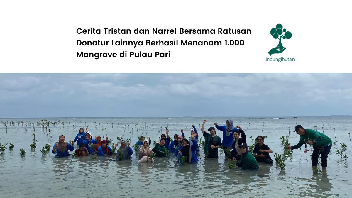 kampanye-lindungihutan-di-kepulauan-seribu-rangkul-ratusan-donatur