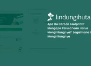 Carbon Footprint: Kenali dan Kurangi Jejak Karbon Anda!