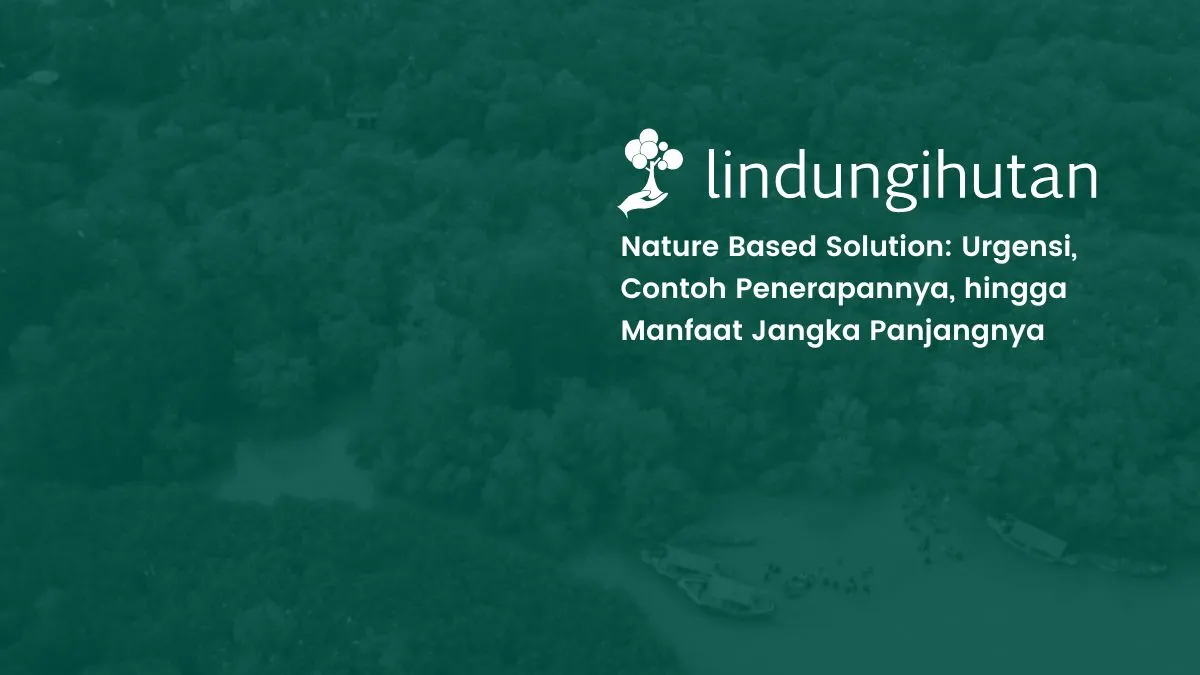 nature-based-solutions:-solusi-alami-untuk-keberlanjutan