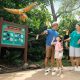 tempat-ngabuburit-seru-di-jakarta-bird-land-ancol