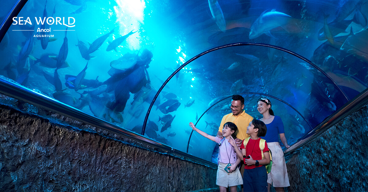 tempat-ngabuburit-seru-di-sea-world-ancol