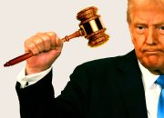 Perusahaan -perusahaan ini mendapat reset hukum setelah Trump menjabat