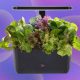 aerogarden-harvest-2.0-adalah-diskon-36%-–-penawaran-musim-semi-dan-pertumbuhan-musim-semi