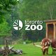 toronto-zoo-membagikan-pembaruan-pada-serangan-ransomware-tahun-lalu