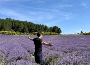 Cara bepergian murah: 16 cara untuk bepergian dengan harga murah atau gratis