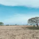 alas-baluran:-little-africa-di-ujung-timur-jawa
