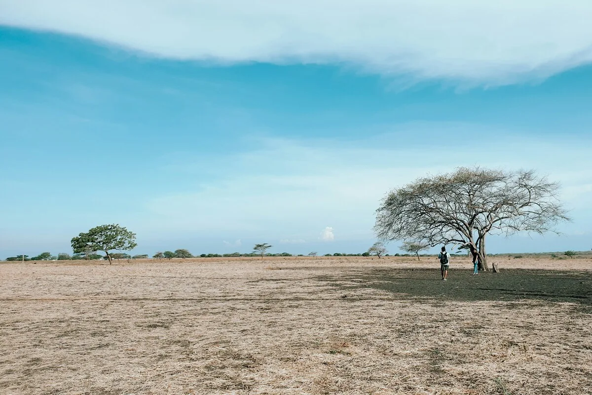 alas-baluran:-little-africa-di-ujung-timur-jawa