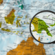 stem-mentoring-and-leadership-training-reaches-400-young-women-in-papua-new-guinea