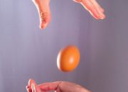 Engineering Management – Design Process Activity (Egg Drop)