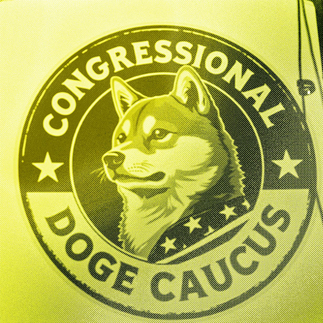 doge-melakukan-kebalikan-dari-audit-pemerintah