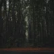 taman-nasional-alas-purwo:-pesona-hutan-tertua-di-ujung-timur-jawa