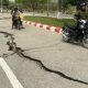 indonesia-siap-bantu-daerah-terdampak-gempa-myanmar-dan-thailand