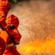 18-rumah-dinas-tni-di-langsa-aceh-ludes-terbakar