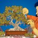 model-bahasa-kecil-adalah-kemarahan-baru,-kata-para-peneliti