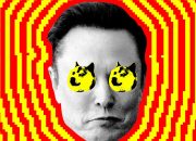 Orang -orang menyalakan Elon Musk