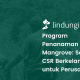 program-penanaman-mangrove:-solusi-csr-berkelanjutan-untuk-perusahaan