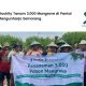 stockity-tanam-3.000-mangrove-di-pantai-mangunharjo-semarang