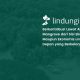 besarnya-manfaat-mangrove-dari-sisi-ekologis-maupun-ekonomis