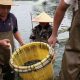 foto:-nestapa-desa-nelayan-china-terancam-perang-dangang-as