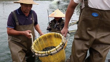 foto:-nestapa-desa-nelayan-china-terancam-perang-dangang-as