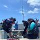 bagaimana-perlindungan-memancing-meksiko-berjuang-kembali-melawan-perburuan