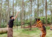 Hilangkan Penatmu di 10 Tempat Healing Bandung Ini!