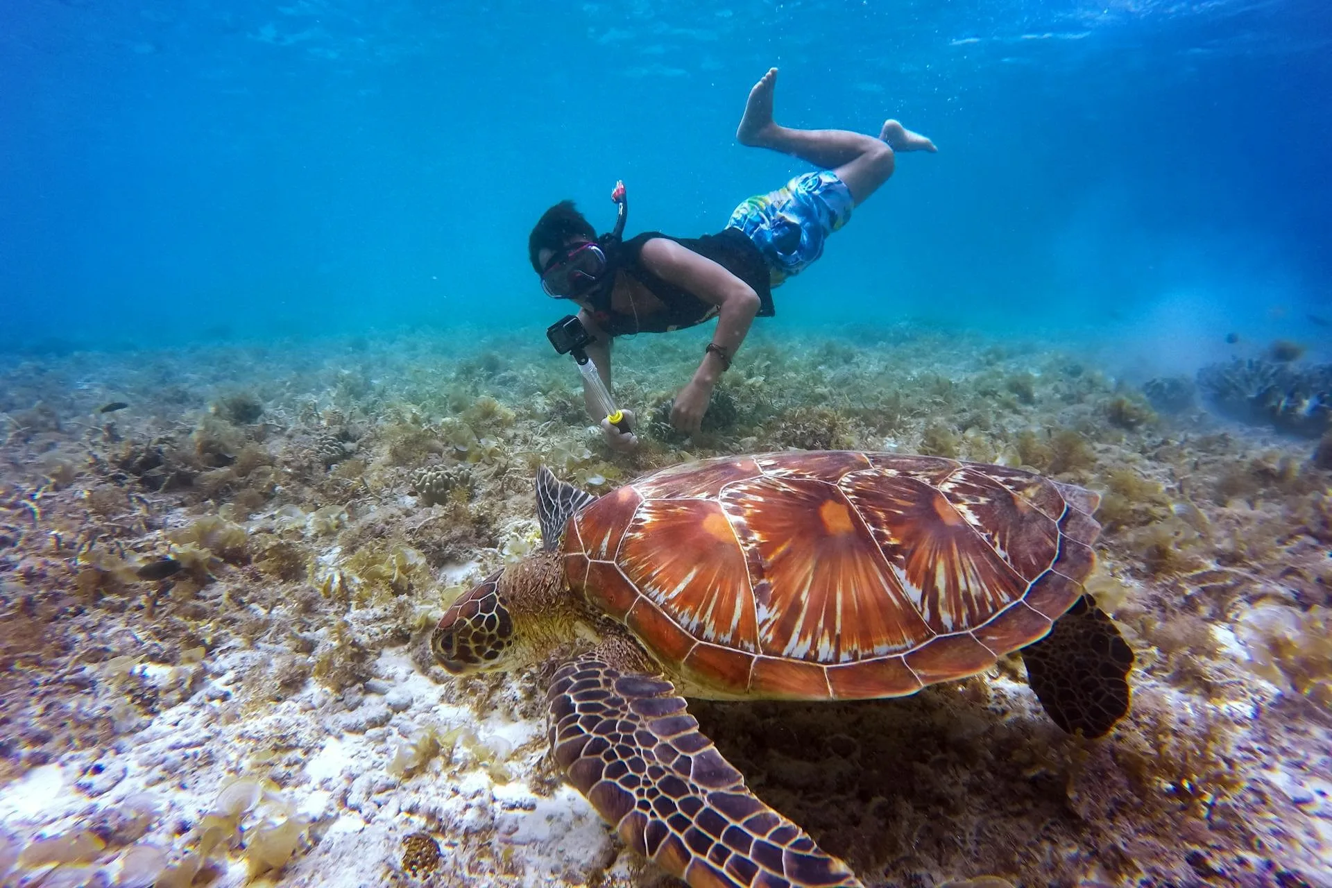 menikmati-keindahan-bawah-laut-dengan-snorkeling-di-pulau-pari