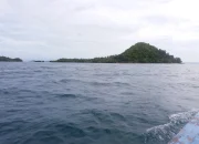 Main ke Tempat Alam Pulau Pahawang: Daya Tarik, Lokasi, dan HTM