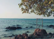 Wisata Karimunjawa 4 Hari 3 Malam Budget 1 Juta? Ini Caranya