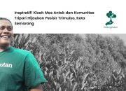 Kisah Mas Antok Tak Pernah Lelah Menghijaukan Pesisir Trimulyo