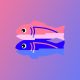glitch-to-end-hosting-aplikasi-dan-profil-pengguna-pada-8-juli