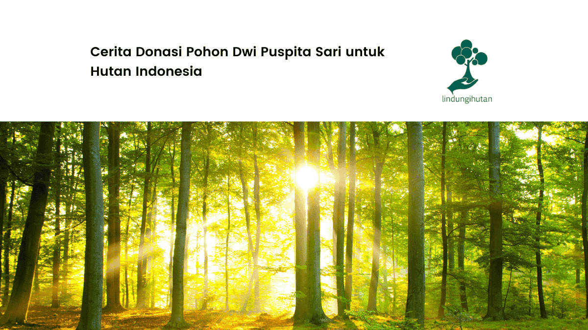 cerita-donasi-pohon-dwi-puspita-sari-untuk-hutan-indonesia