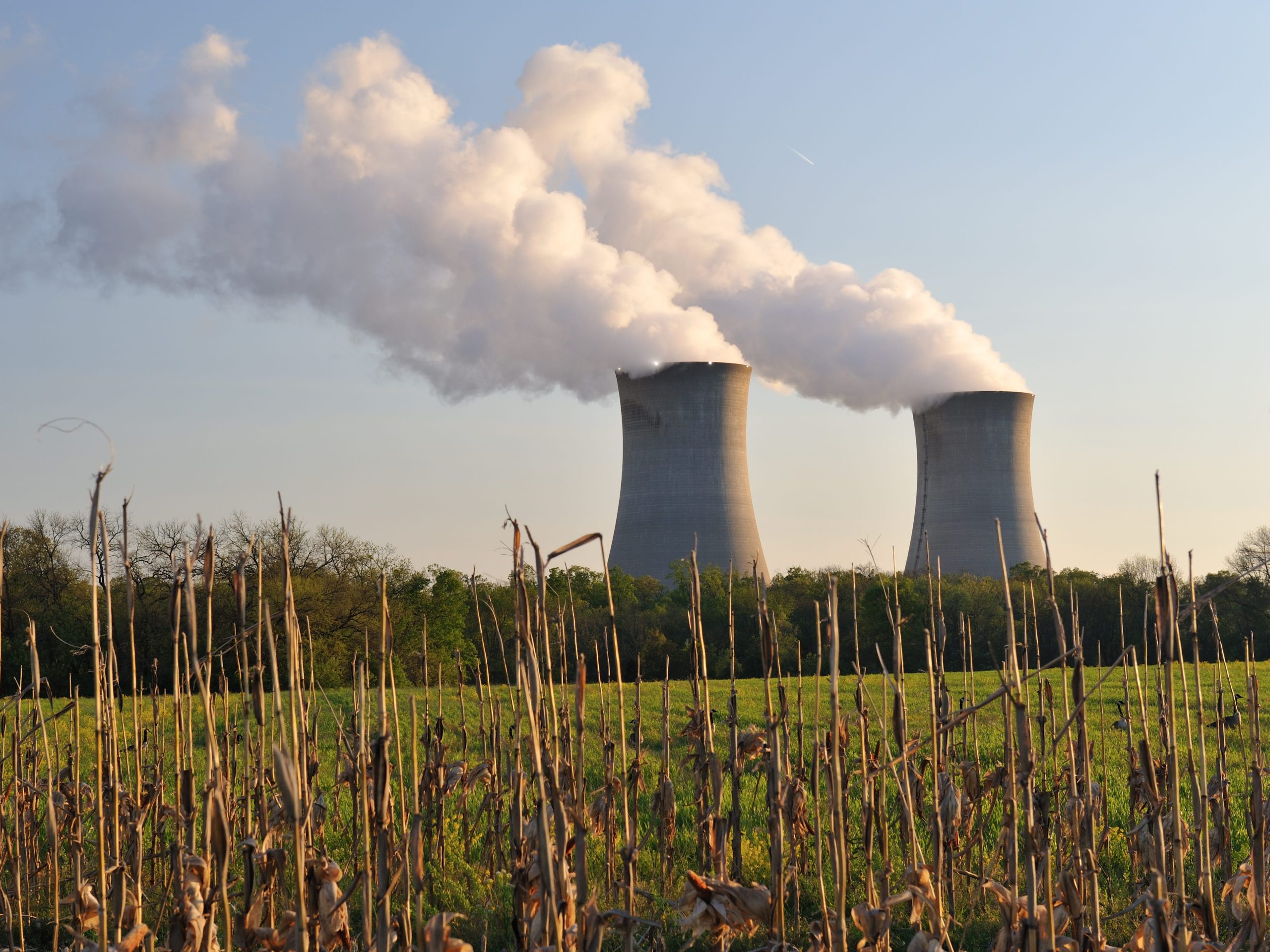 tenaga-nuklir-mengalami-kebangkitan-inilah-yang-dikatakan-konsultan-tentang-masa-depan-industri.