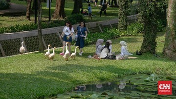 foto:-menikmati-libur-panjang-bersama-angsa-taman-langsat