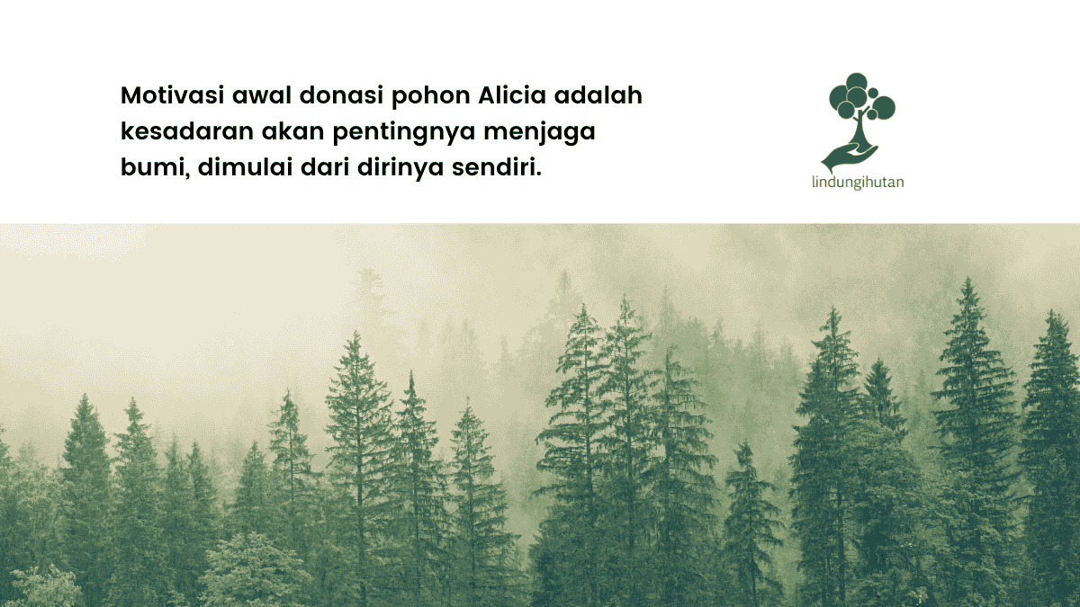 donasi-pohon-alicia,-sebuah-bentuk-cinta-untuk-bumi