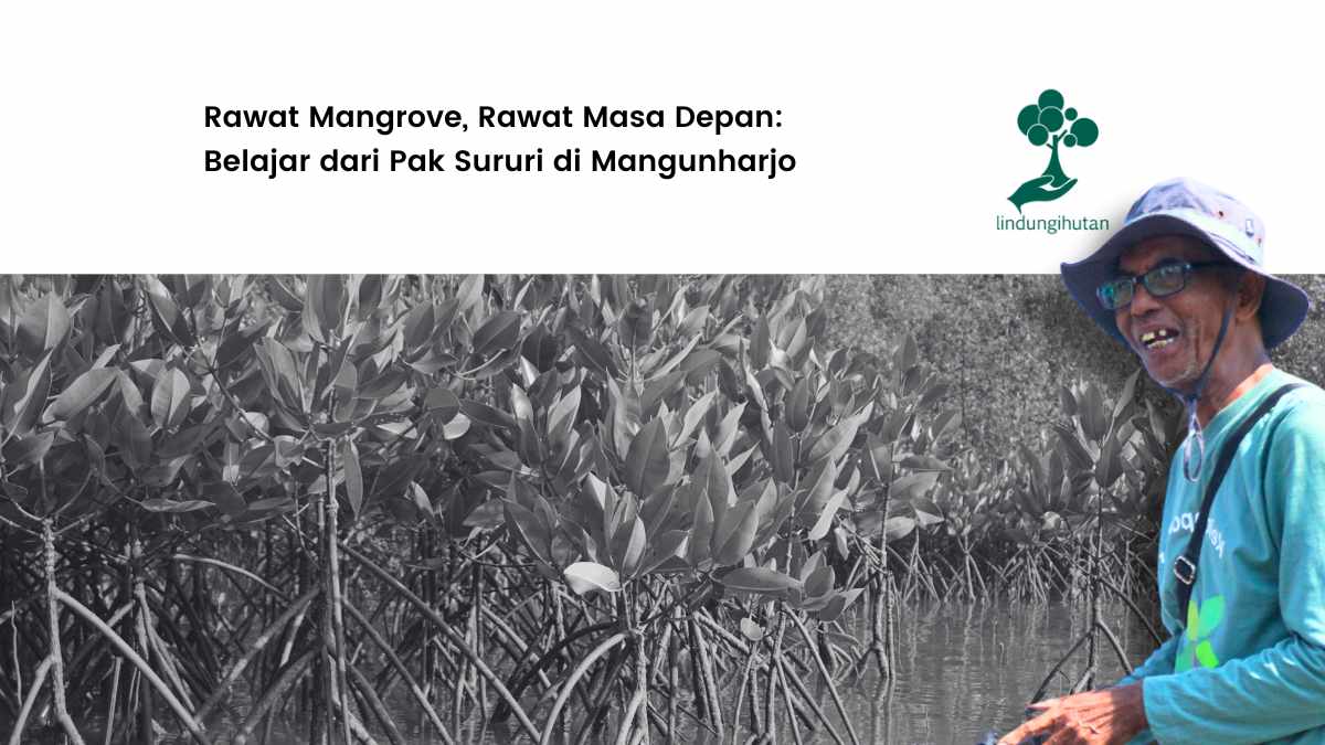 pak-sururi,-inspirasi-hijau-dari-pantai-mangunharjo-semarang