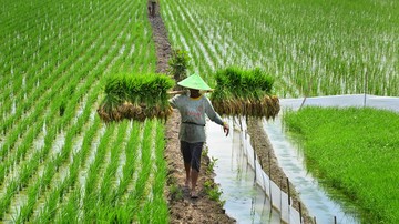 penelitian:-hanya-guyana-negara-yang-mampu-swasembada-pangan
