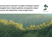 Donasi Pohon Syinsyin, Jejak Cinta yang Menyuburkan Harapan