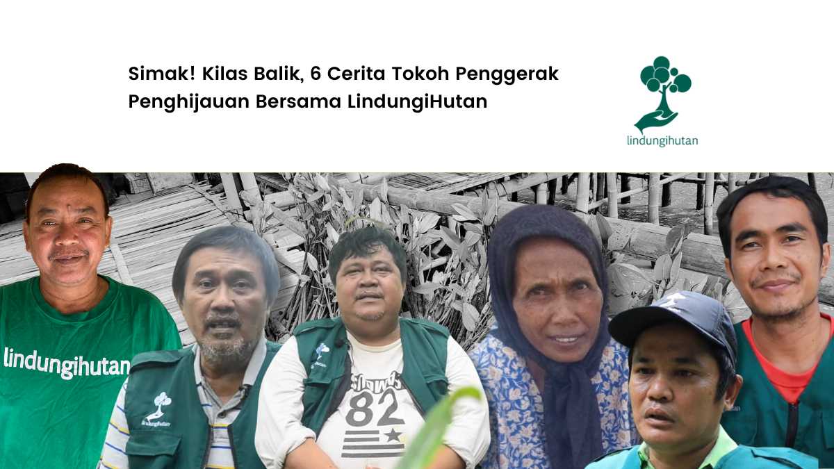 kilas-balik:-6-tokoh-penggerak-penghijauan-yang-menginspirasi